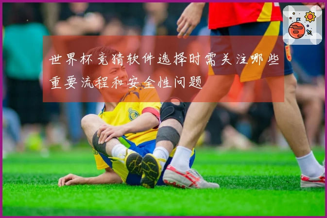 世界杯竞猜软件选择时需关注哪些重要流程和安全性问题