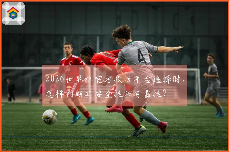 2026世界杯官方投注平台选择时，怎样判断其安全性和可靠性？