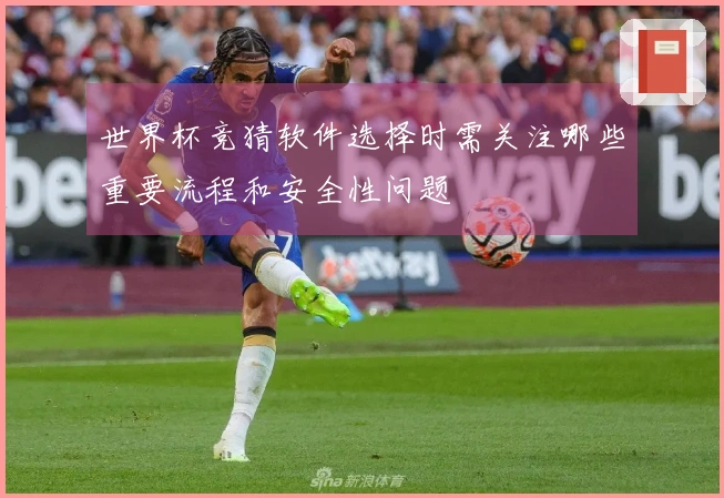 世界杯竞猜软件选择时需关注哪些重要流程和安全性问题