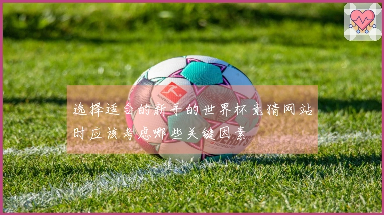 选择适合的新手的世界杯竞猜网站时应该考虑哪些关键因素