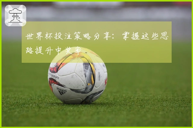 世界杯投注策略分享：掌握这些思路提升中奖率